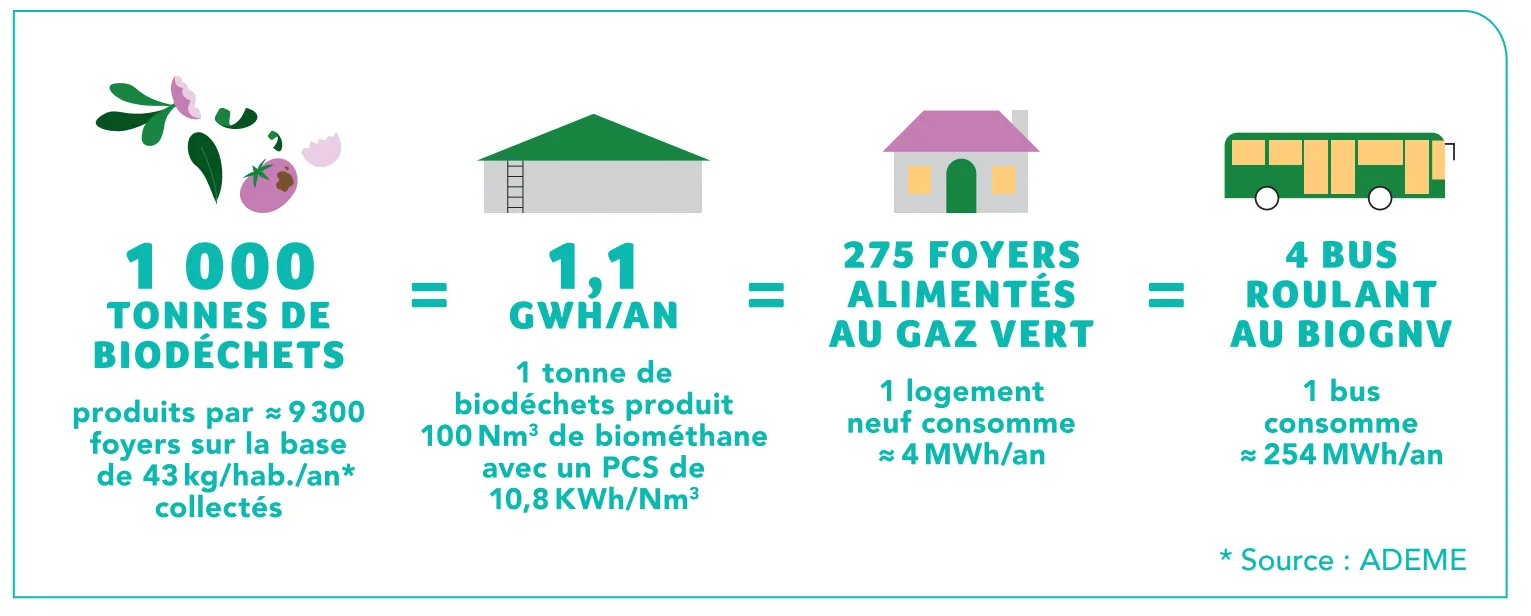 Infographie biodéchets