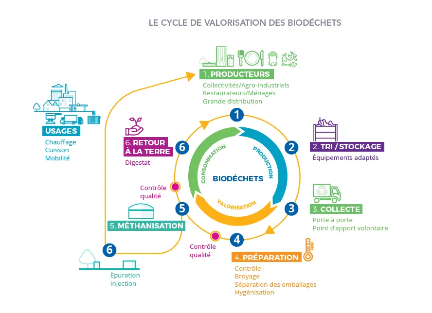 cycle valorisation biodechets
