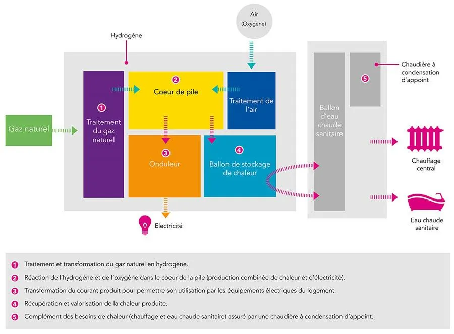 Schéma d'une pile à combustible