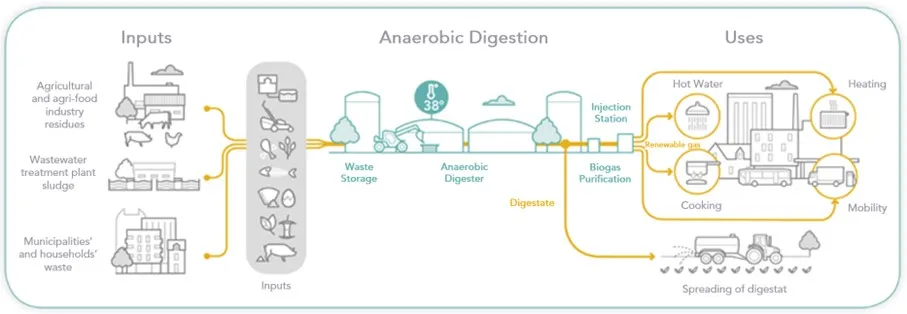 Anaerobic digestion